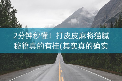 2分钟秒懂！打皮皮麻将猫腻秘籍真的有挂(其实真的确实有挂)