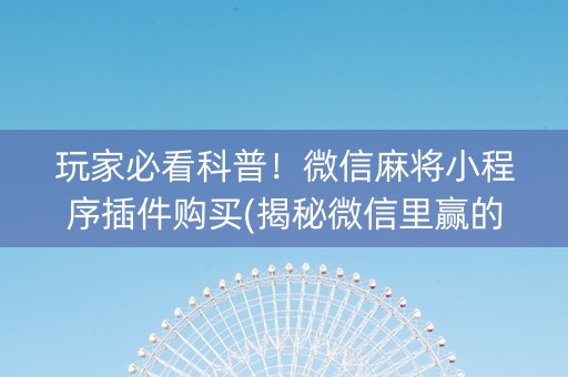 玩家必看科普！微信麻将小程序插件购买(揭秘微信里赢的诀窍)
