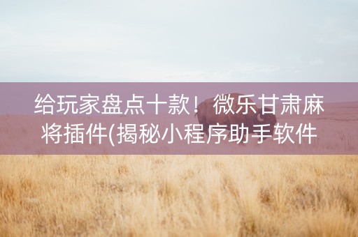 给玩家盘点十款！微乐甘肃麻将插件(揭秘小程序助手软件)