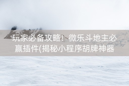 玩家必备攻略！微乐斗地主必赢插件(揭秘小程序胡牌神器)