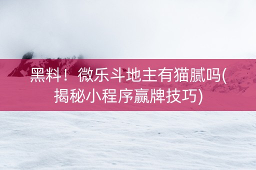 黑料！微乐斗地主有猫腻吗(揭秘小程序赢牌技巧)