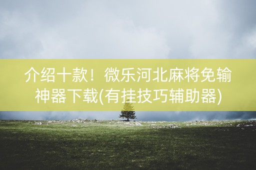 介绍十款！微乐河北麻将免输神器下载(有挂技巧辅助器)