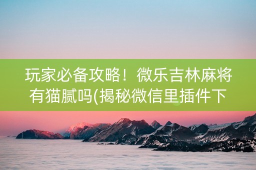 玩家必备攻略！微乐吉林麻将有猫腻吗(揭秘微信里插件下载)
