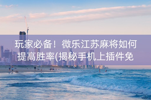 玩家必备！微乐江苏麻将如何提高胜率(揭秘手机上插件免费)