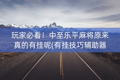玩家必看！中至乐平麻将原来真的有挂呢(有挂技巧辅助器)