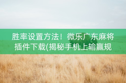胜率设置方法！微乐广东麻将插件下载(揭秘手机上输赢规律)