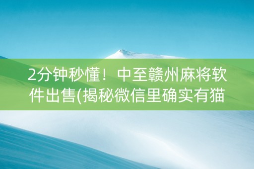 2分钟秒懂！中至赣州麻将软件出售(揭秘微信里确实有猫腻)