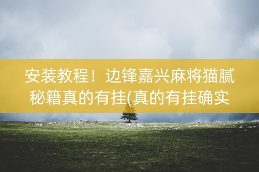 安装教程！边锋嘉兴麻将猫腻秘籍真的有挂(真的有挂确实有挂)
