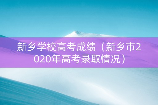 新乡学校高考成绩（新乡市2020年高考录取情况）