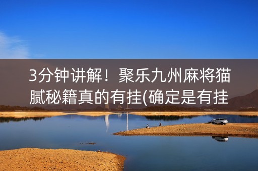 3分钟讲解！聚乐九州麻将猫腻秘籍真的有挂(确定是有挂)