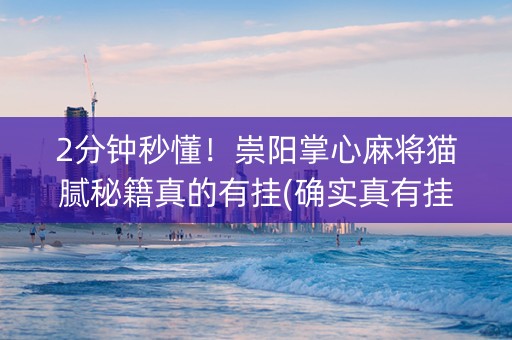 2分钟秒懂！崇阳掌心麻将猫腻秘籍真的有挂(确实真有挂)