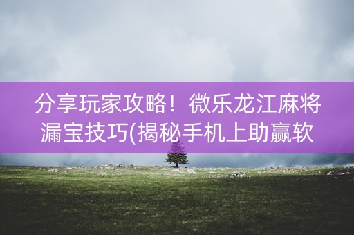 分享玩家攻略！微乐龙江麻将漏宝技巧(揭秘手机上助赢软件)