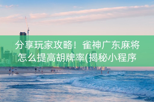 分享玩家攻略！雀神广东麻将怎么提高胡牌率(揭秘小程序插件免费)