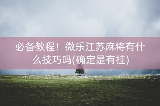 必备教程！微乐江苏麻将有什么技巧吗(确定是有挂)