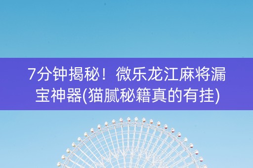 7分钟揭秘！微乐龙江麻将漏宝神器(猫腻秘籍真的有挂)