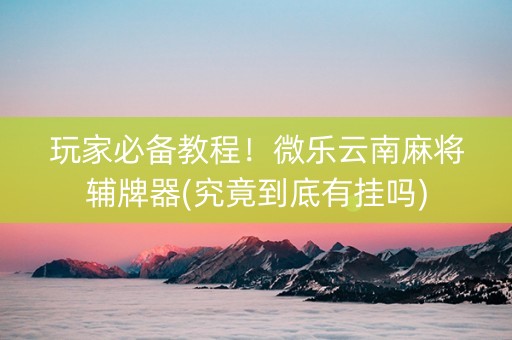 玩家必备教程！微乐云南麻将辅牌器(究竟到底有挂吗)