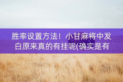 胜率设置方法！小甘麻将中发白原来真的有挂呢(确实是有挂)