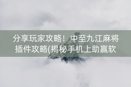 分享玩家攻略！中至九江麻将插件攻略(揭秘手机上助赢软件)