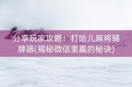 分享玩家攻略！打哈儿麻将辅牌器(揭秘微信里赢的秘诀)