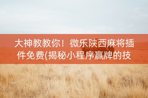 大神教教你！微乐陕西麻将插件免费(揭秘小程序赢牌的技巧)
