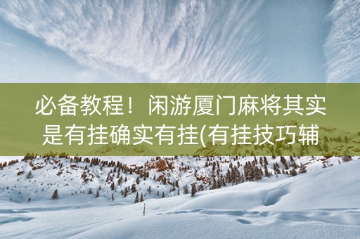 必备教程！闲游厦门麻将其实是有挂确实有挂(有挂技巧辅助器)
