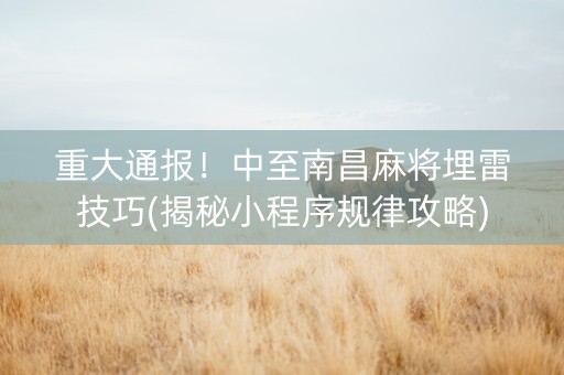 重大通报！中至南昌麻将埋雷技巧(揭秘小程序规律攻略)