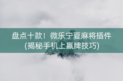 盘点十款！微乐宁夏麻将插件(揭秘手机上赢牌技巧)