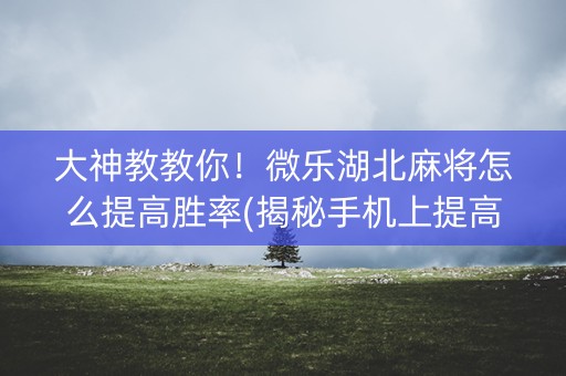 大神教教你！微乐湖北麻将怎么提高胜率(揭秘手机上提高赢的概率)