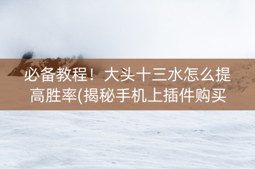 必备教程！大头十三水怎么提高胜率(揭秘手机上插件购买)