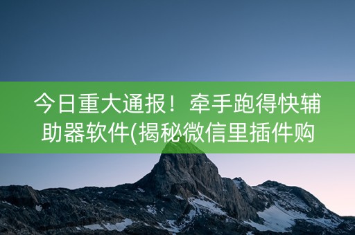 今日重大通报！牵手跑得快辅助器软件(揭秘微信里插件购买)