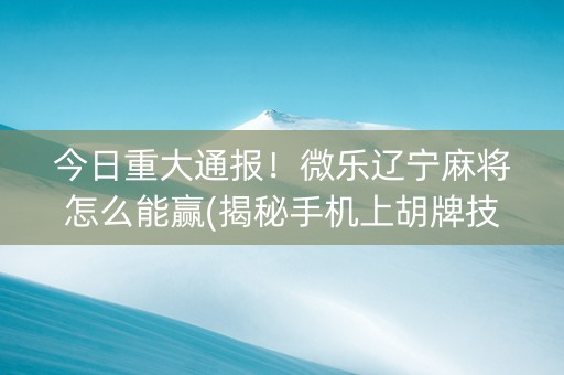 今日重大通报！微乐辽宁麻将怎么能赢(揭秘手机上胡牌技巧)