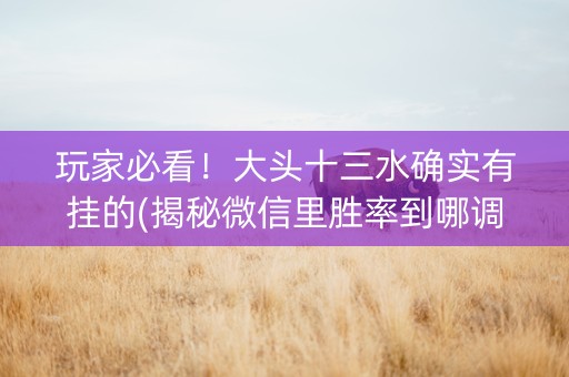 玩家必看！大头十三水确实有挂的(揭秘微信里胜率到哪调)