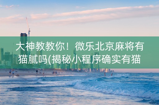 大神教教你！微乐北京麻将有猫腻吗(揭秘小程序确实有猫腻)