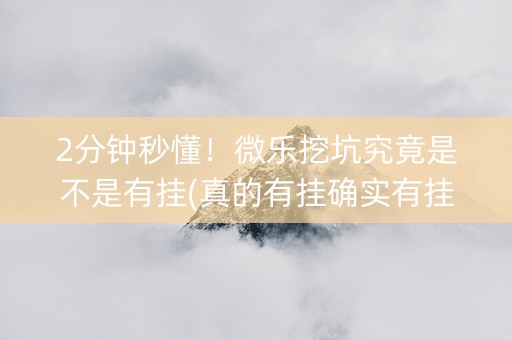 2分钟秒懂！微乐挖坑究竟是不是有挂(真的有挂确实有挂)