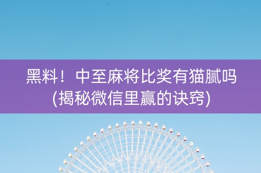 黑料！中至麻将比奖有猫腻吗(揭秘微信里赢的诀窍)