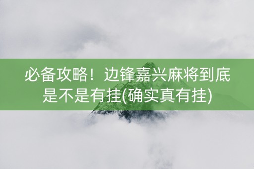 必备攻略！边锋嘉兴麻将到底是不是有挂(确实真有挂)