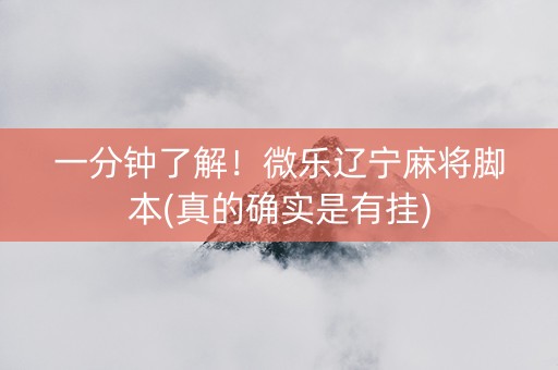 一分钟了解！微乐辽宁麻将脚本(真的确实是有挂)