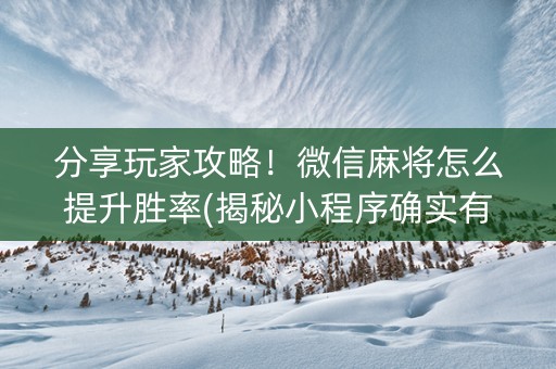 分享玩家攻略！微信麻将怎么提升胜率(揭秘小程序确实有猫腻)