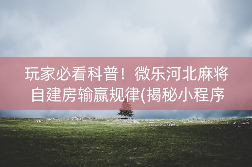 玩家必看科普！微乐河北麻将自建房输赢规律(揭秘小程序专用神器)