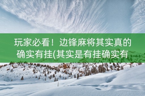 玩家必看！边锋麻将其实真的确实有挂(其实是有挂确实有挂)