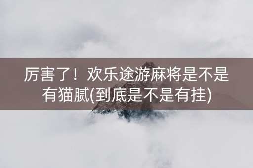 厉害了！欢乐途游麻将是不是有猫腻(到底是不是有挂)