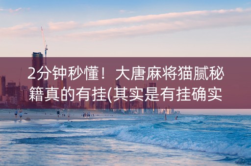 2分钟秒懂！大唐麻将猫腻秘籍真的有挂(其实是有挂确实有挂)