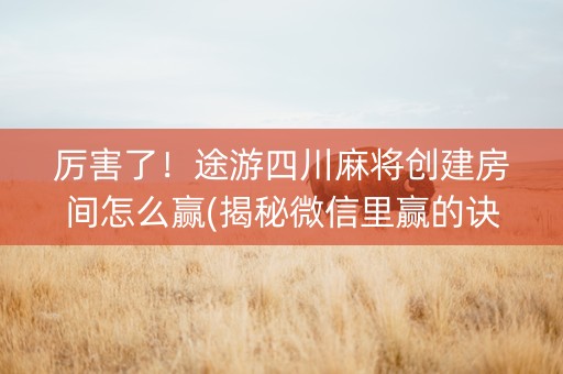 厉害了！途游四川麻将创建房间怎么赢(揭秘微信里赢的诀窍)