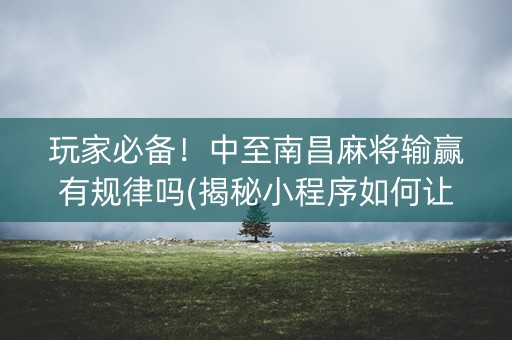 玩家必备！中至南昌麻将输赢有规律吗(揭秘小程序如何让牌变好)