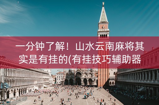 一分钟了解！山水云南麻将其实是有挂的(有挂技巧辅助器)
