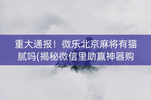 重大通报！微乐北京麻将有猫腻吗(揭秘微信里助赢神器购买)