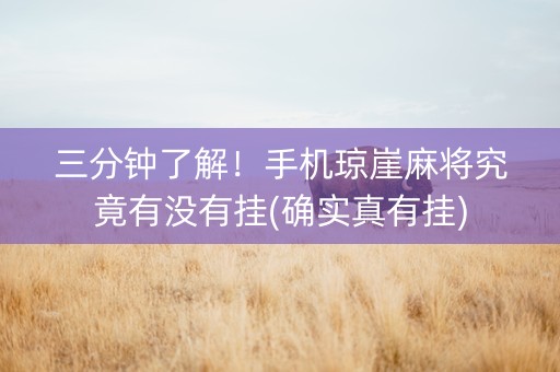 三分钟了解！手机琼崖麻将究竟有没有挂(确实真有挂)