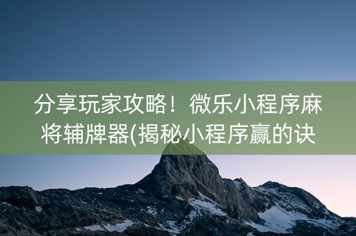 分享玩家攻略！微乐小程序麻将辅牌器(揭秘小程序赢的诀窍)