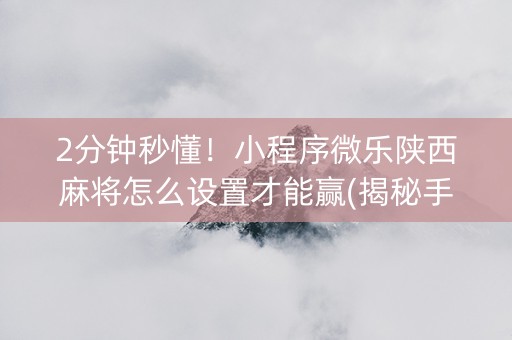 2分钟秒懂！小程序微乐陕西麻将怎么设置才能赢(揭秘手机上助赢软件)