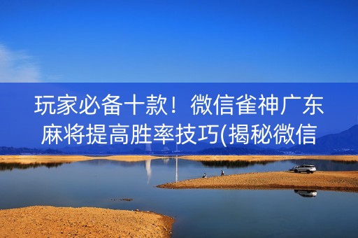 玩家必备十款！微信雀神广东麻将提高胜率技巧(揭秘微信里辅牌器)